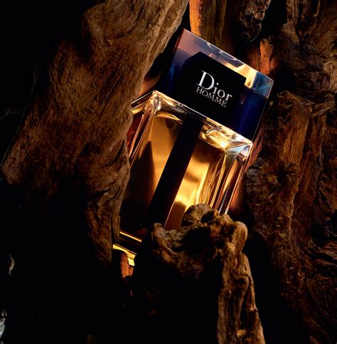 fall 2020 dior|dior cologne 2020.